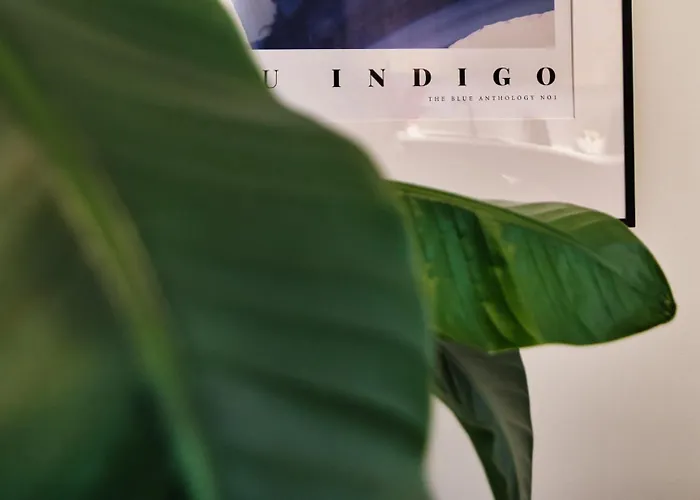 Apartament Indigo 11 By Housine