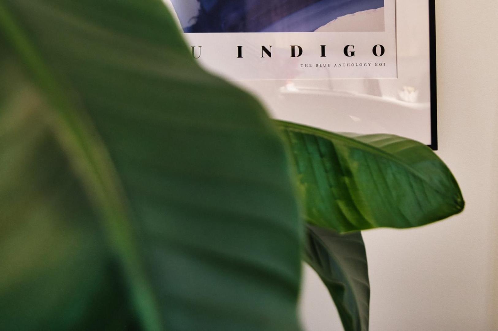 Apartment Indigo 11 By Housine *